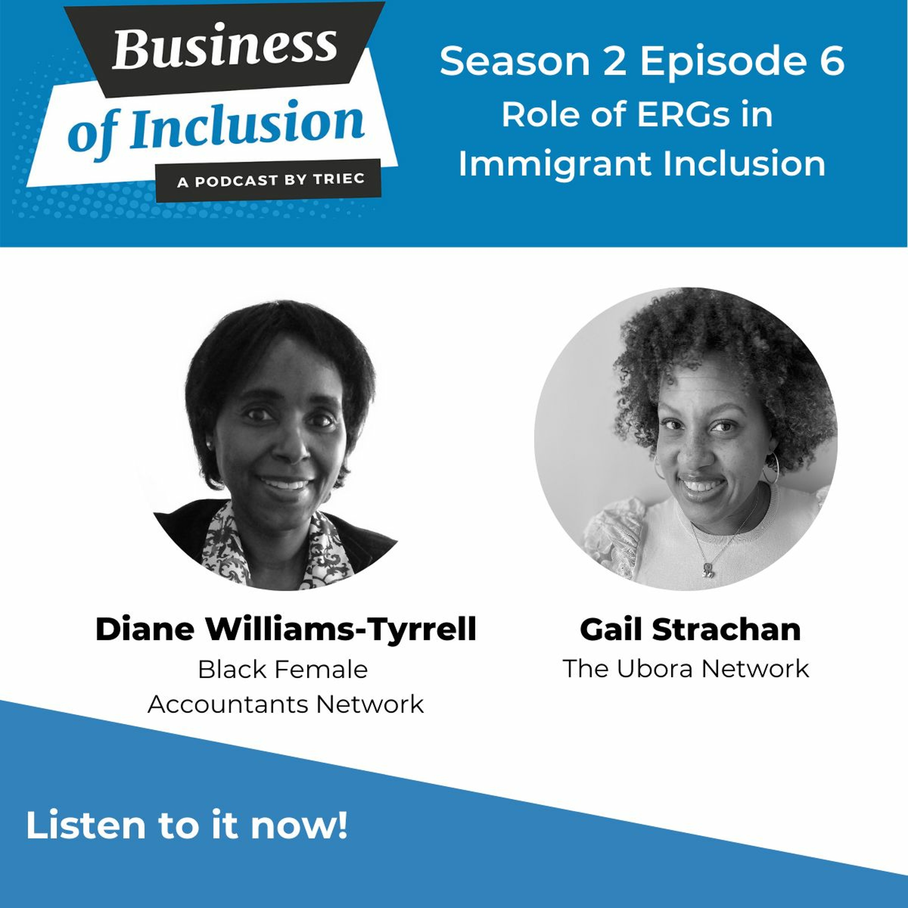 Business of Inclusion Podcast