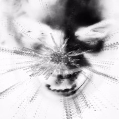 kount up ft shy prod. pradaglory