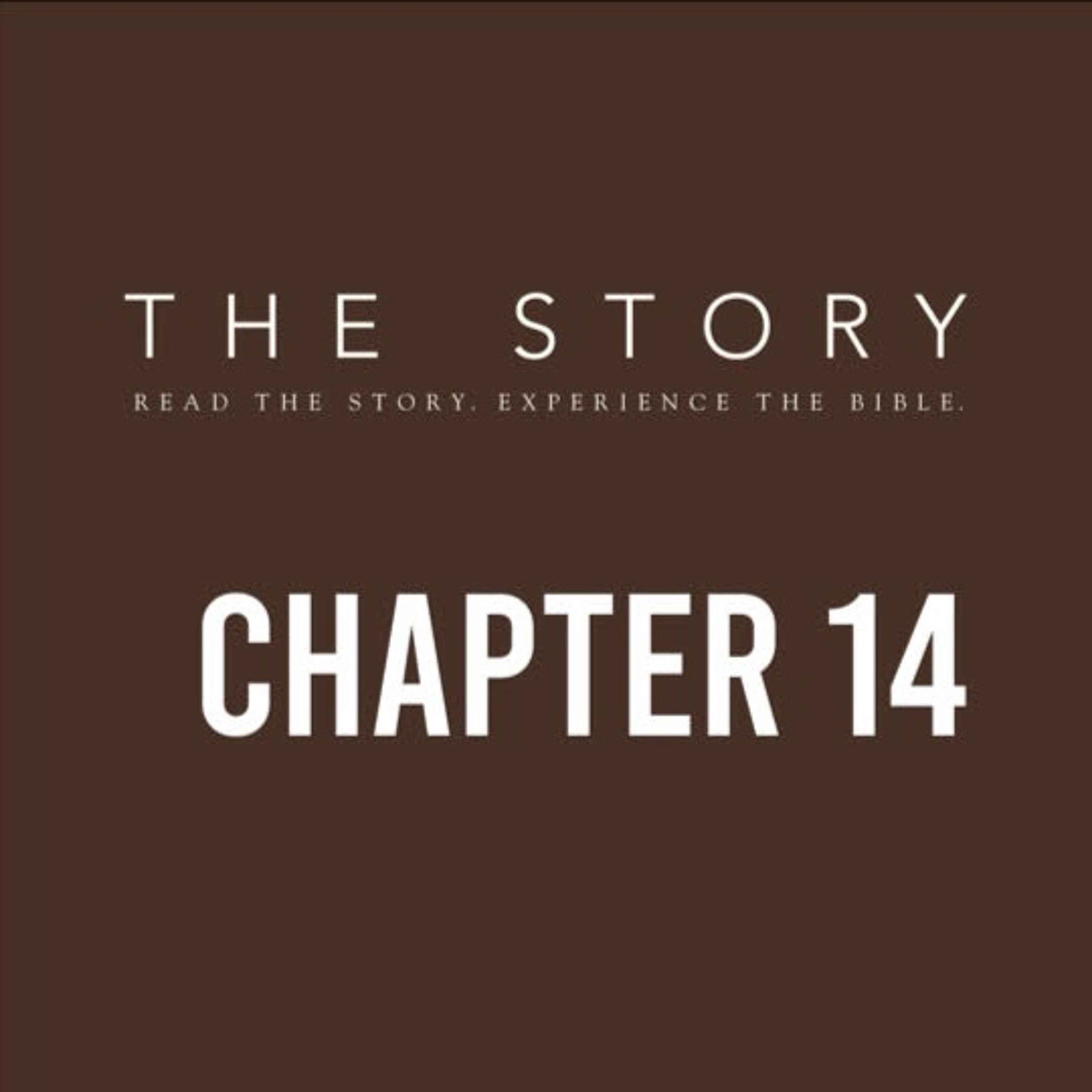 The Story-Ch. 14: A Kingdom Torn in Two episode artwork
