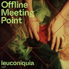 leuconiquia * Purdah