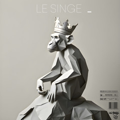 Le Singe - le singe