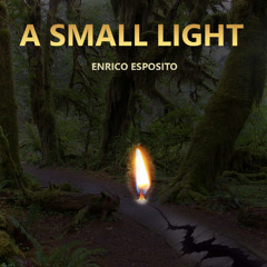 A Small Light