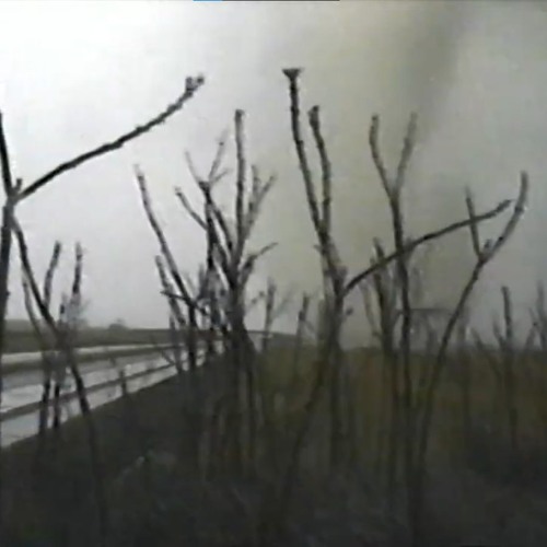 ispent8hoursonfieldwatchingthecloudsformintoagraymass