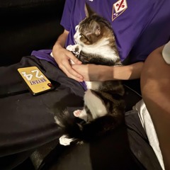 VH- Hat Trick - LADALL