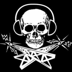 piratenhits