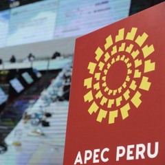 APEC: Presidenta Dina Boluarte y la expectativa empresarial