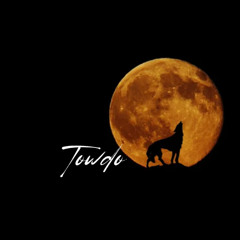 Towdo