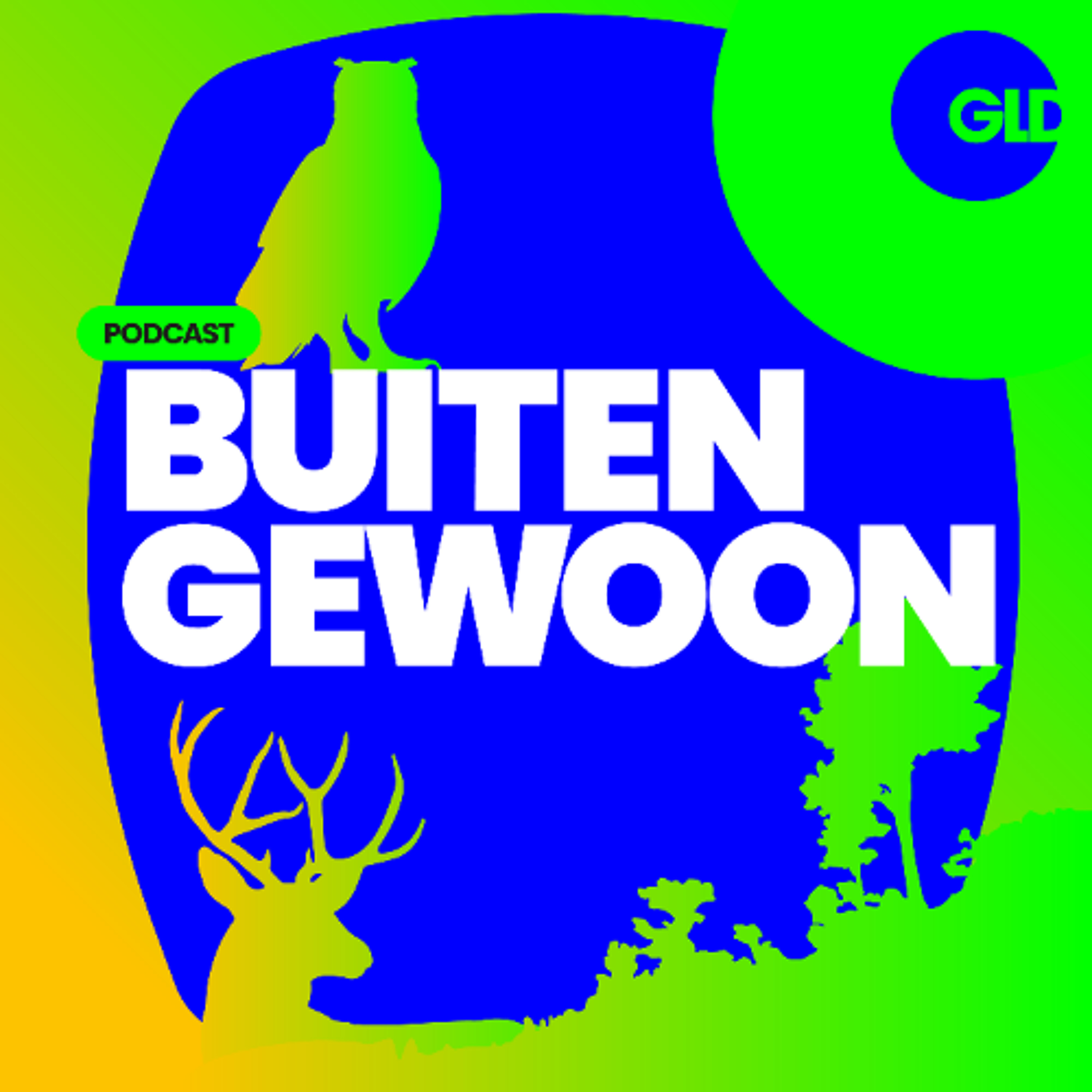 078 Jaar van de Steenuil | BuitenGewoon