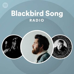 Blackbird Song Radio