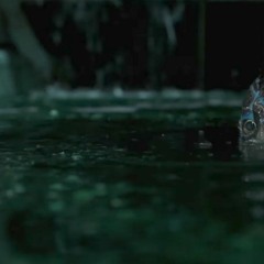 A Very Mysterious Story Of Water