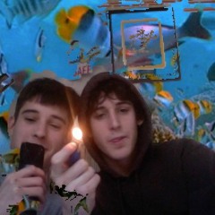 swimming wit da F!$H!3$$$