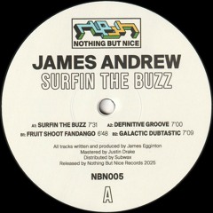 James Andrew - Surfin The Buzz (NBN005)