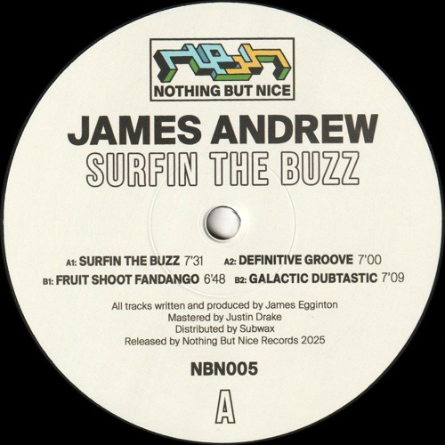 James Andrew - Surfin The Buzz (NBN005)