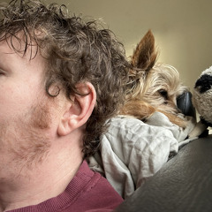 Where do all dogs lie