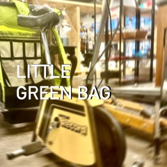 littlegreenbag