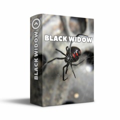 Black Widow - Marching Band Show