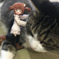 lets go home together today