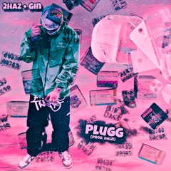 PLUGG ft. gin (prod. daln)