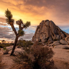 DOVA Downtempo Melodic House Mix: Desert Vibes