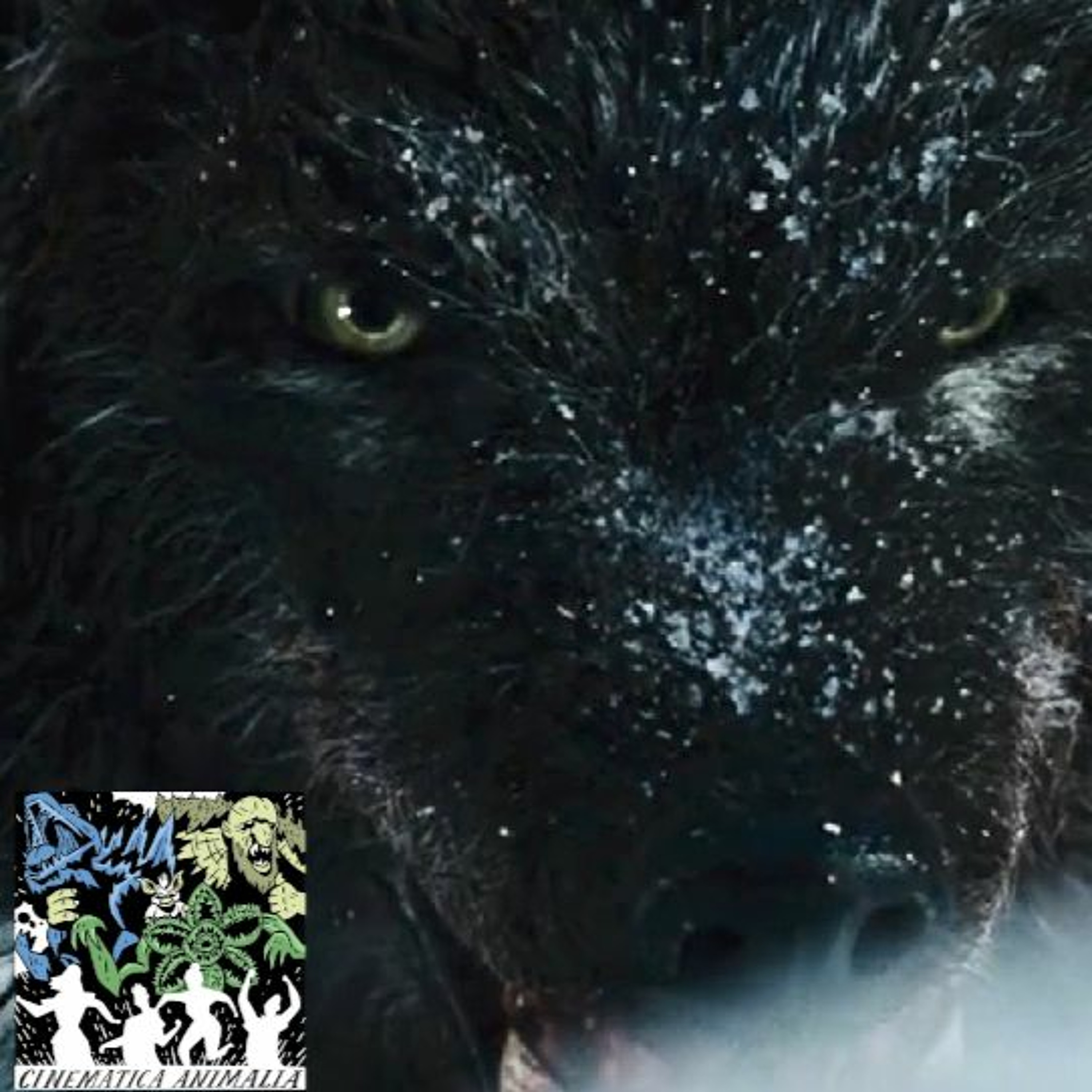 Cinematica Animalia
