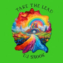 Dj Snook - Take the Lead