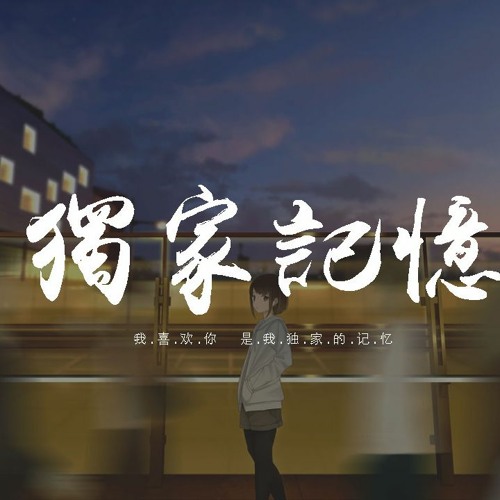 刘瑞琦 - 独家记忆「我喜歡你，是我獨家的記憶」【動態歌詞/pīn yīn gē cí】