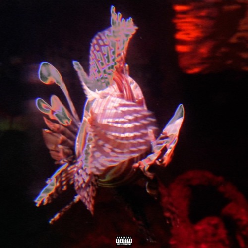 NO 1 ELSE (prod. bigmel)