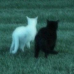 NaNaNa - Amin Tijay X Kaveh