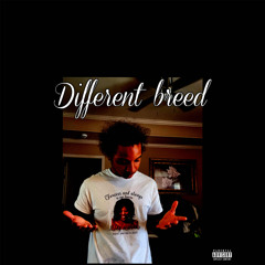Different Breed (prod.by ilycr4y)