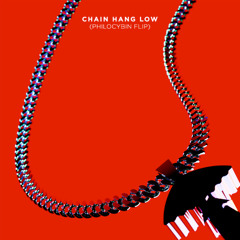 Chain Hang Low (Philocybin Flip)
