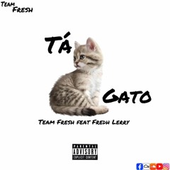 Team fresh feat Fredh Lerry-Tá Gato