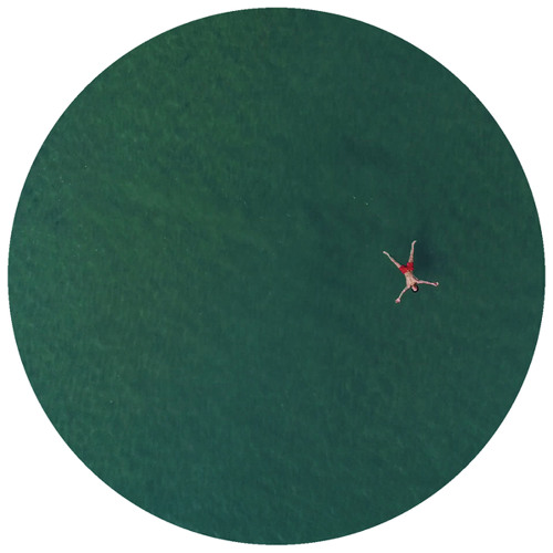 Dolphin Splash Keyboards