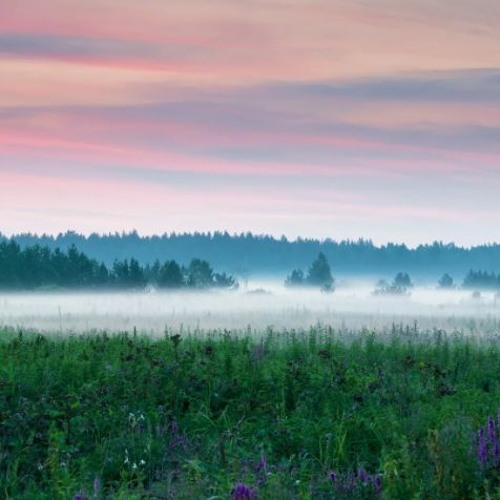 Akaibeats background music - FREE DOWNLOAD