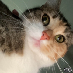 bussin (prod. PetRan)
