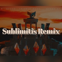 ILLENIUM & Sueco - Story of My Life (feat. Trippie Redd) [Sublimitis Remix]