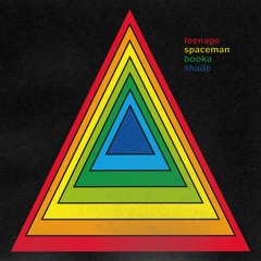 Teenage Spaceman (Booka in Space Mix)