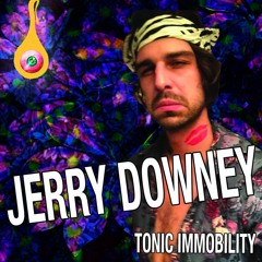 03. Jerry Downey - Bavarian Cream