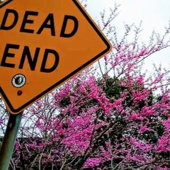 Hazy People Of The Eclipse (8/21 Eclipse Freestyle)