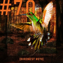 BIRDNEST #070 | ♥ | Podcast by The Lahar