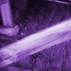 Bones & Vegard Veslelia - PlantsInTheVase x WhereTheTreesMeetTheFreeway (Chopped and Screwed) Vyzroh