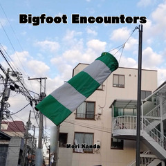 Bigfoot Encounters