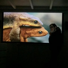 essen in kunstdarm (prod. by autvmn)