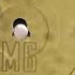 Wanting Crazy…a mixup