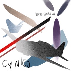 Vinyl Sports  | Cy Nico