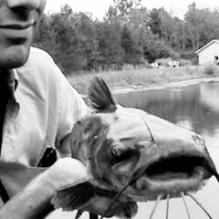 Martyn Kinnear - Catfish [FREE DOWNLOAD]