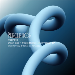 PREMIERE: Dawn Gab, Pedro Barros - No Frontier (Dan Goul Remix) [Perception - 知覺]