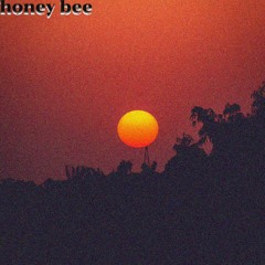 Honey Bee