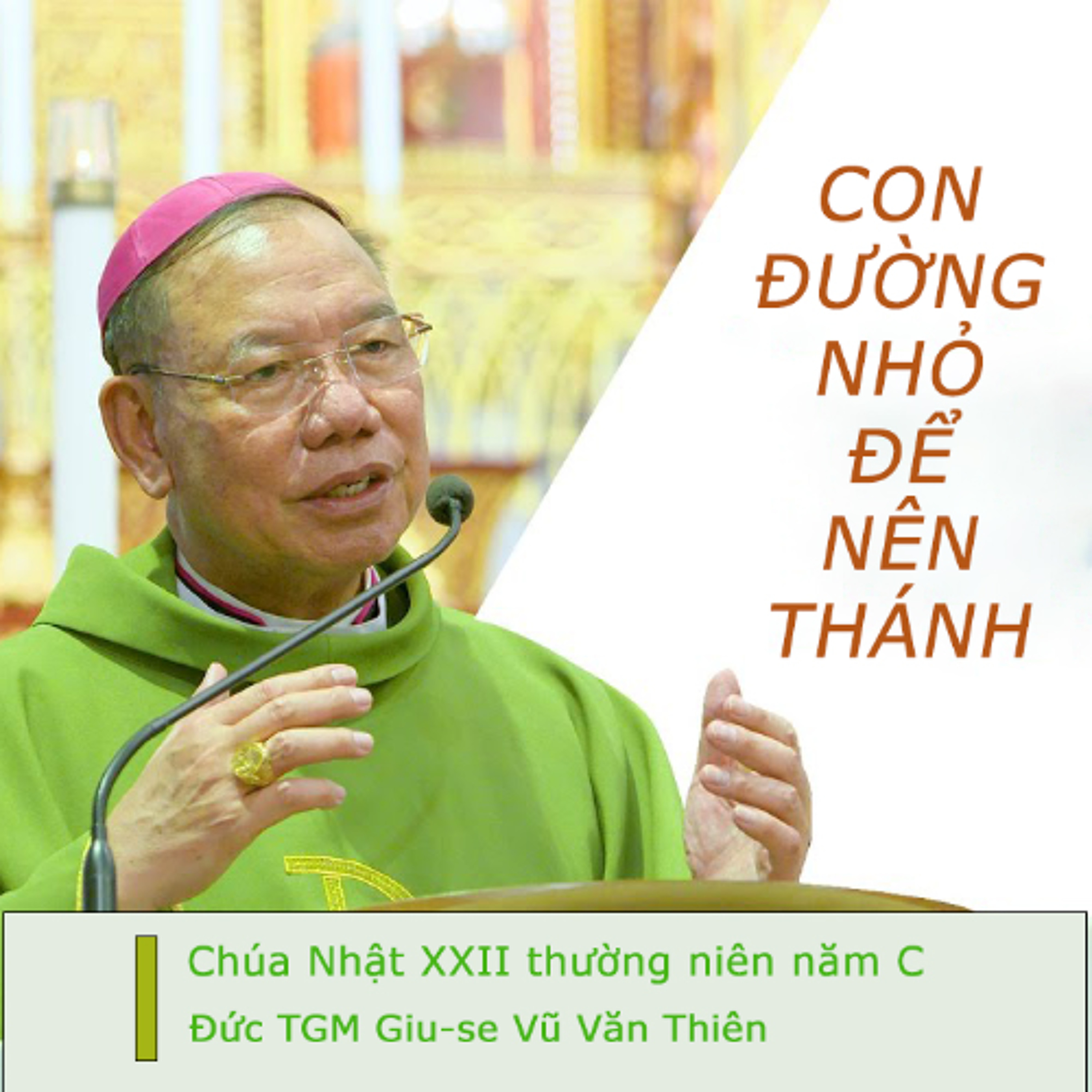 CN XXII TN C | Con đường nhỏ để nên thánh |  Đức TGM Giu-se Vũ Văn Thiên episode artwork