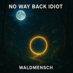 No Way Back Idiot (Cringe Groove) 432Hz