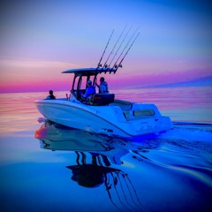 Motion Siccness SLOWED